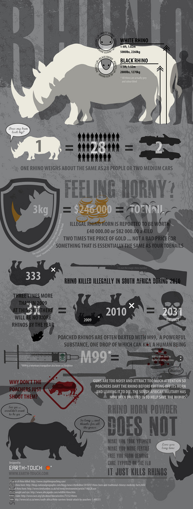 Rhino Poaching Infographic