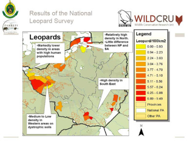 Leopard-survey-density-page.jpg