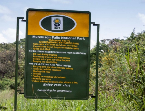 Parcs nationaux et campsites : comment réserver en Ouganda et au Rwanda ?