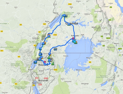Itinéraire final en Ouganda et au Rwanda : gorilles et chimpanzés, option rhino, lion, hippo & co !