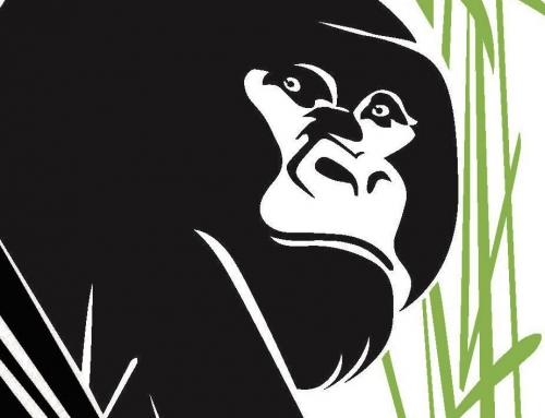 Bravo Méthode et longue vie aux Gorilla Doctors !
