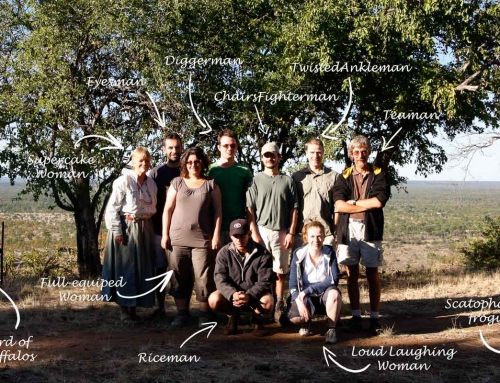Mission d’écovolontariat : Transect au Zambezi National Park (1)