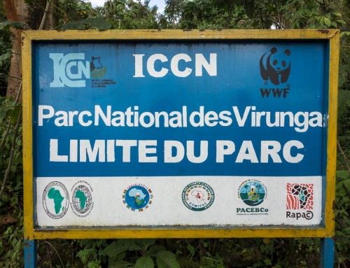 Escapade au Congo : Préambule