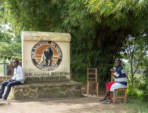 Dans les coulisses des Virunga