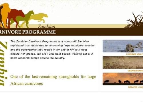 Profitez du voyage pour aider Zambia Carnivores !